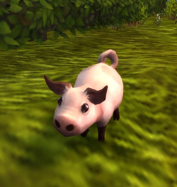 魔獸世界戰寵-潘達利亞四色鯉魚